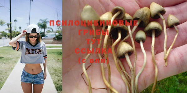 ешки Абинск